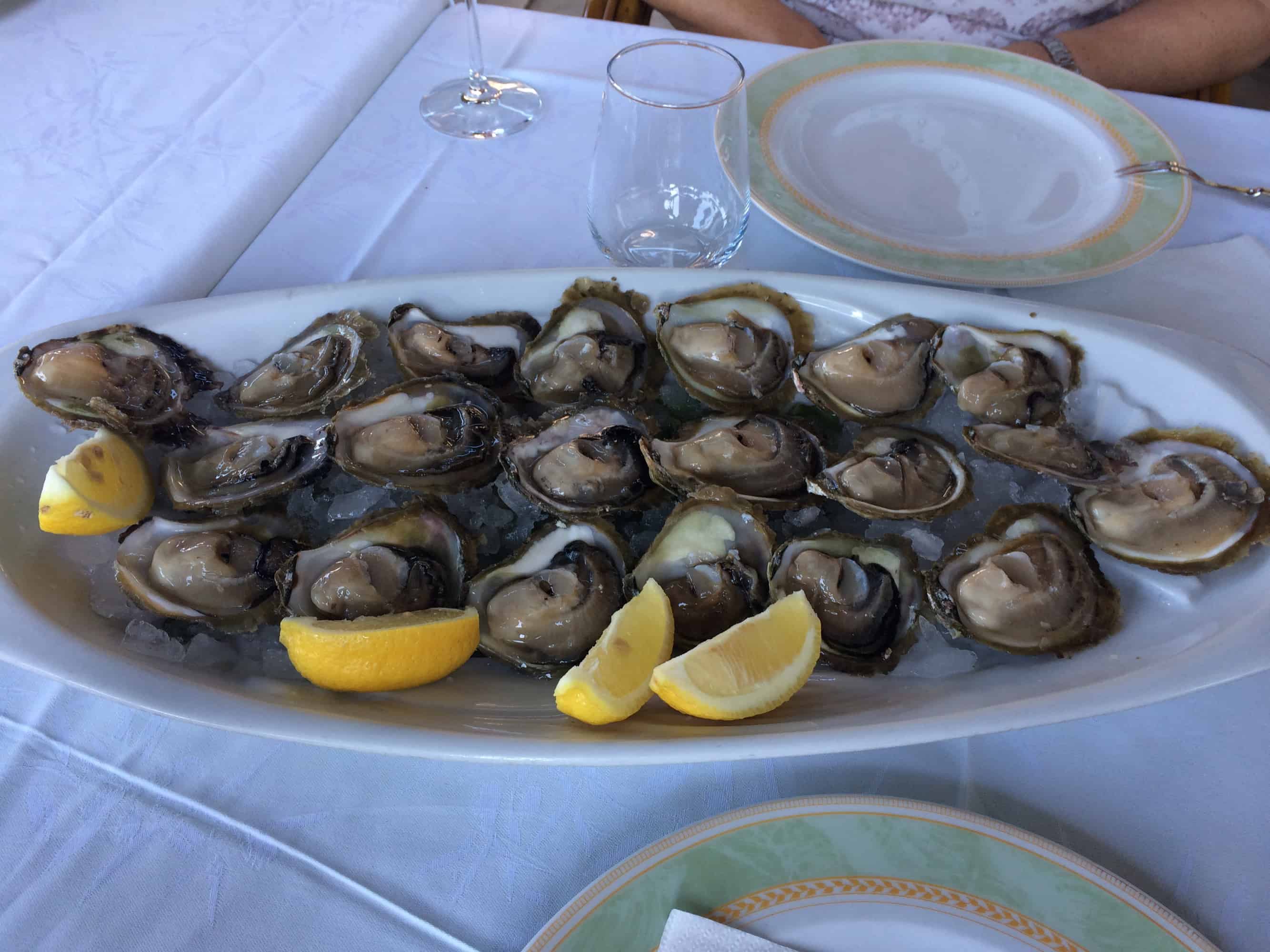 https://dubrovniktaxi.net/private-excursions-tours/ston-peljesac-vineyards-oysters/